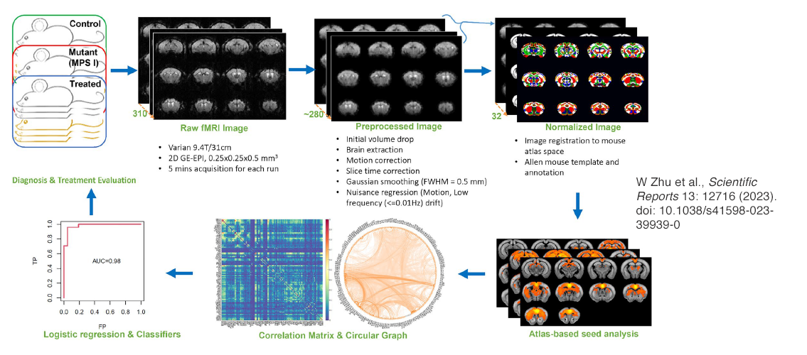 A Gene-Editing Method May Treat Brain Disorder with MSI