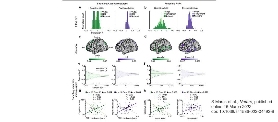 Effect sizes and sampling variability of univariate brain-wide associations