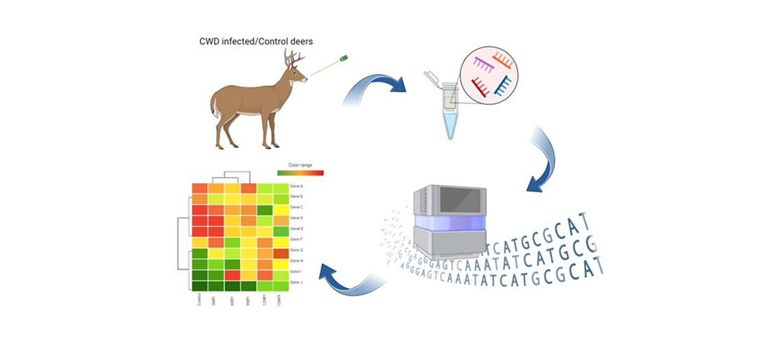 Finding Biomarkers for Chronic Wasting Disease